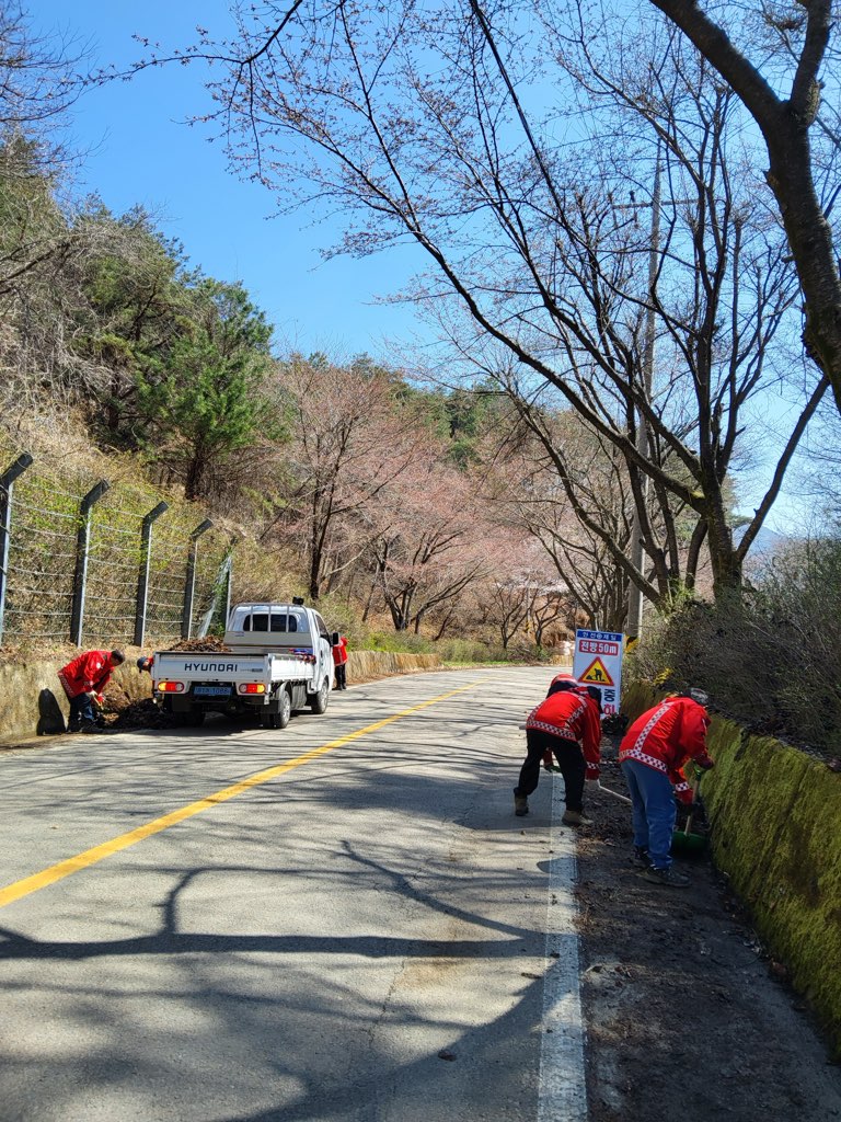 산청군 차황면, 산림 연접지 인화물질 제거 1