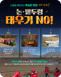 산불을 예방하는 확실한 방법 세가지!
논 ·밭두렁 태우기 NO!
하나. 영농부산물 제때 수거하고 파쇄하기
둘. 산림 인접지에서 불법 소각 금지
셋. 논 ·밭두렁 태우기 금지
영농부산물은 소각하지 말고 꼭 파쇄해주세요!
해당 시·군·구 행정복지센터에 영농부산물 파쇄 문의 및 신청 가능합니다.