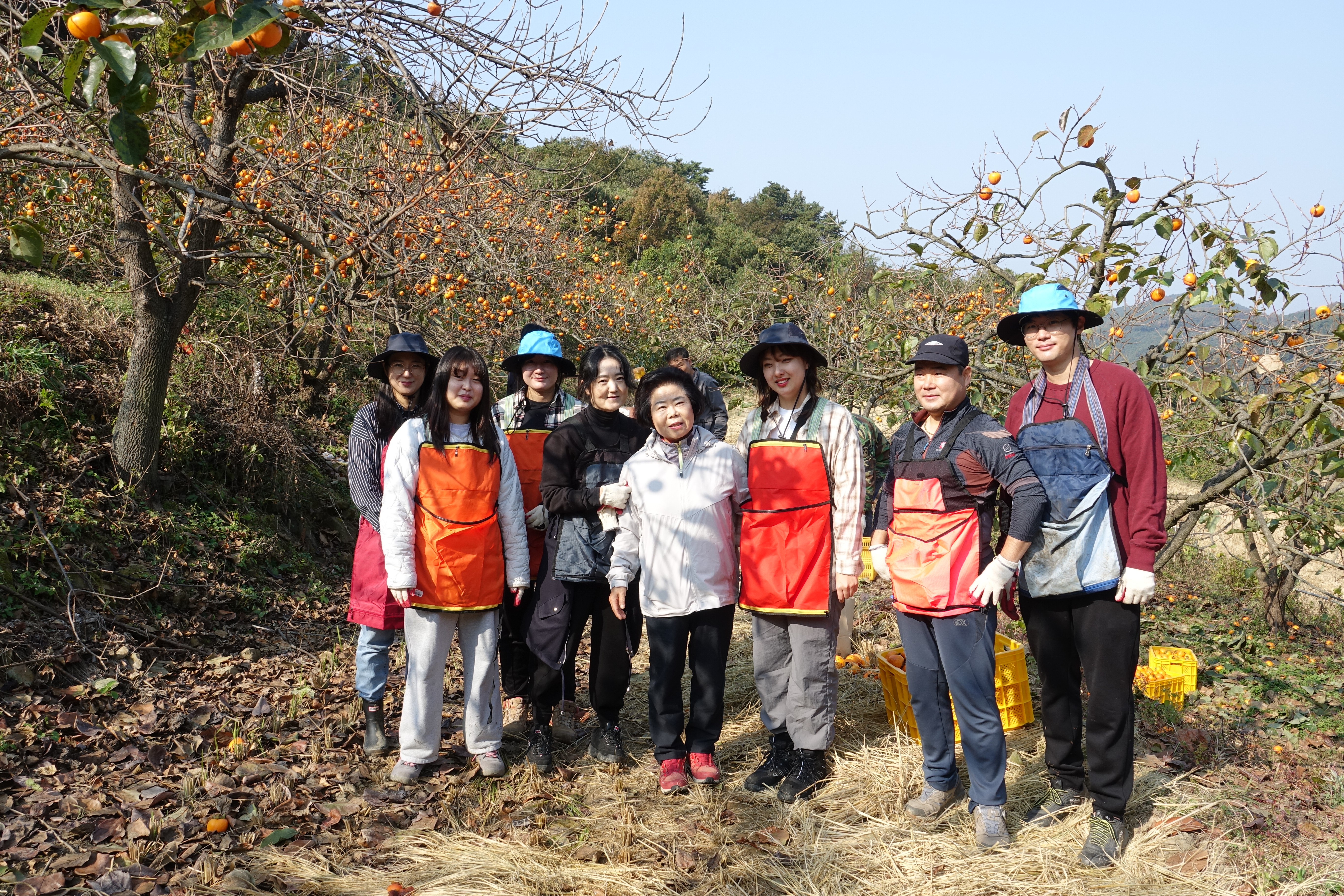 2023년 가을철 농손일손돕기