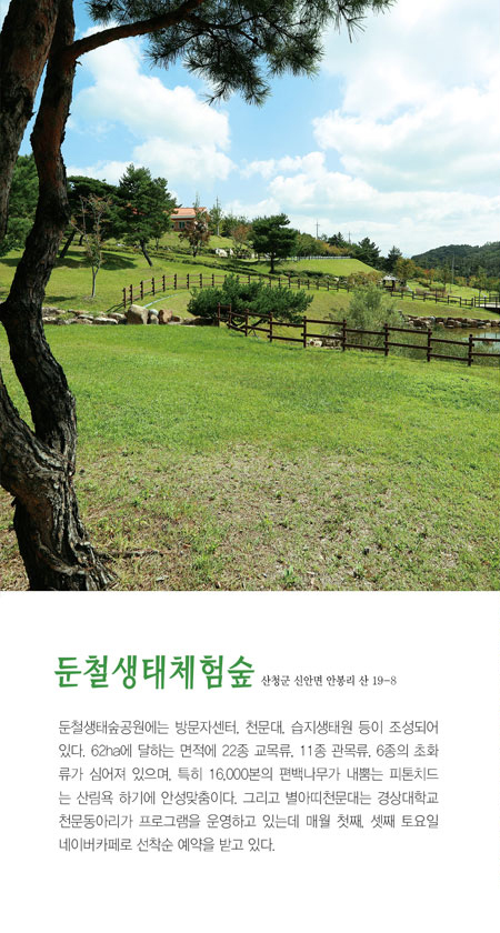 둔철생태체험숲 이미지